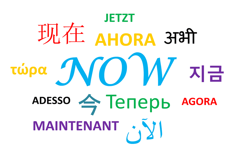 Idiomas del mejor traductor mundial