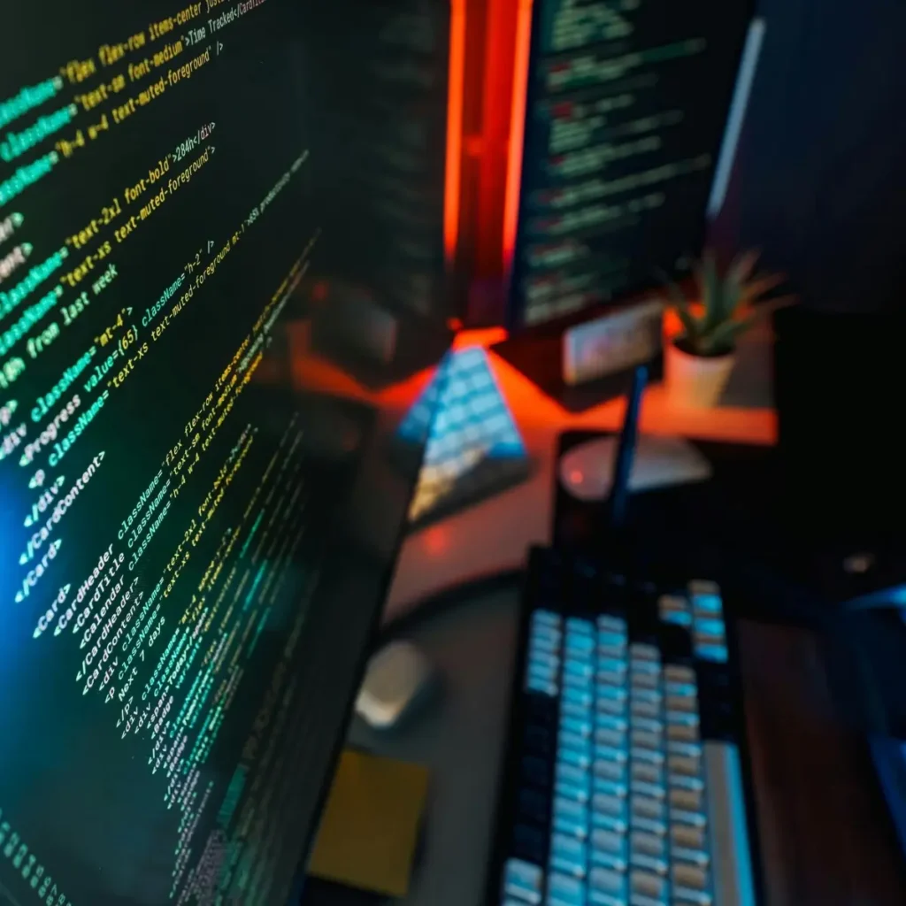 software 1